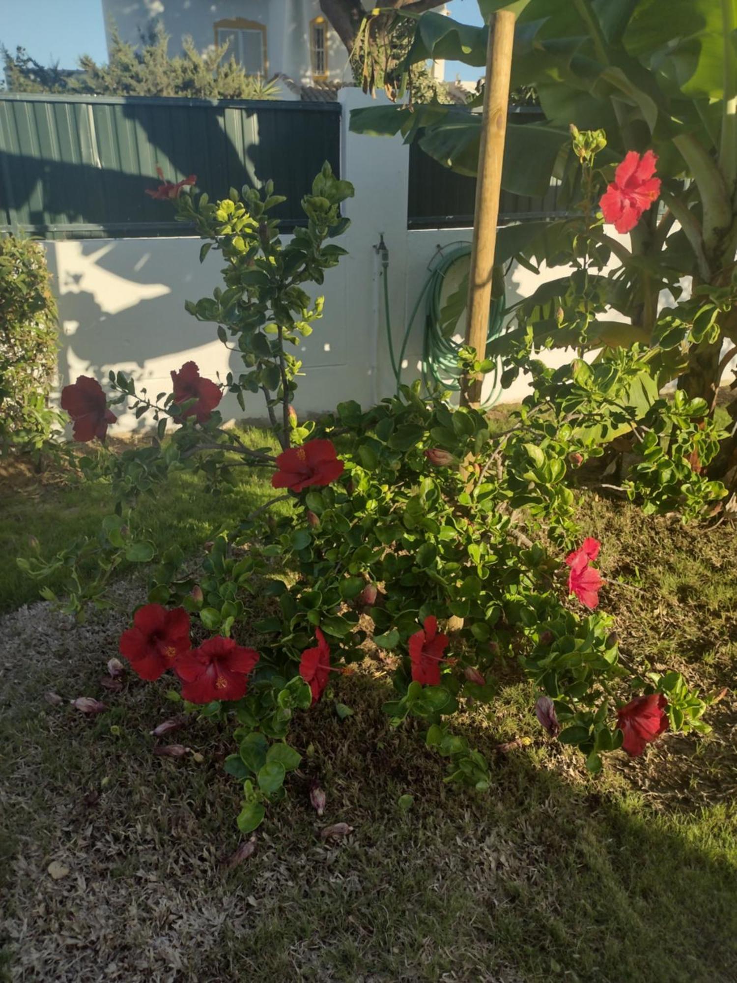 Nightingale Villa Albufeira Kültér fotó